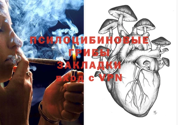винт Абаза
