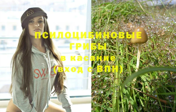 винт Абаза