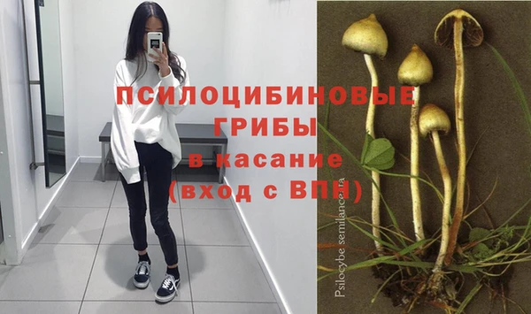 соль ск Сатка