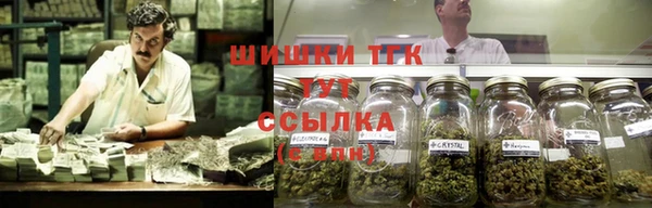 винт Абаза